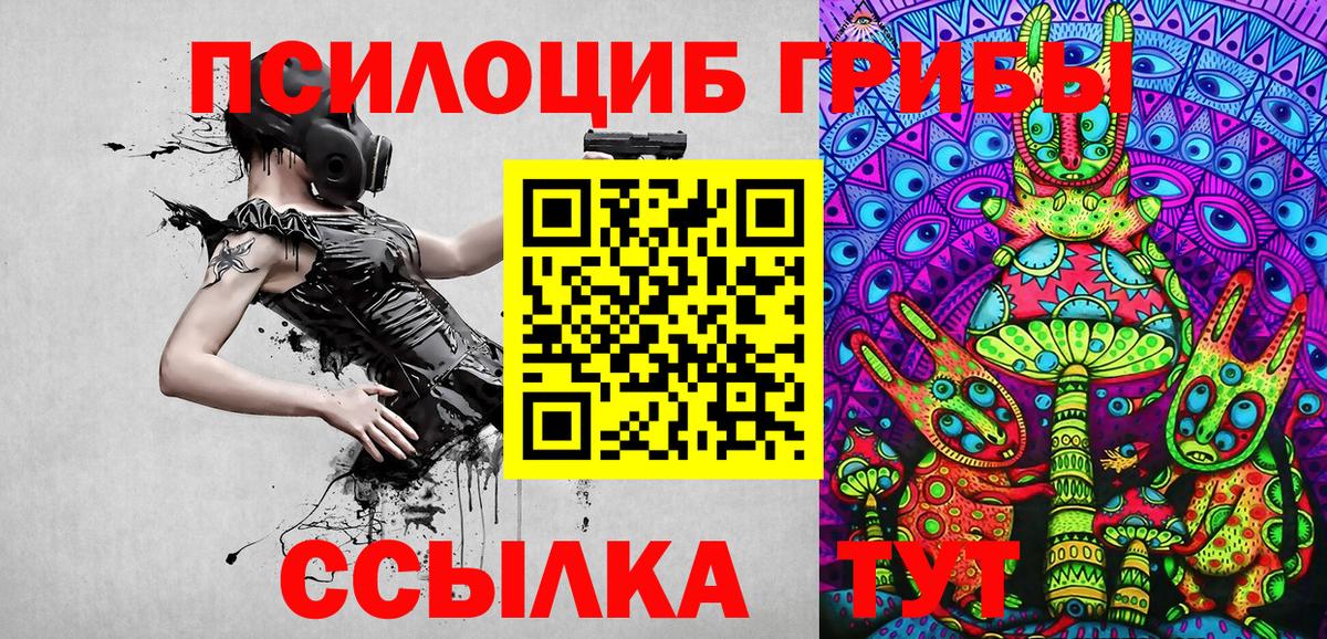 Псилоцибиновые грибы Psilocybe Белебей